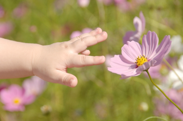 天使の手と花