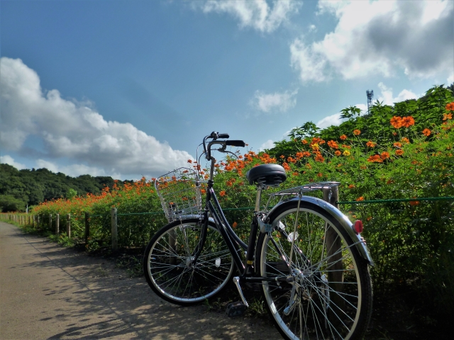 青とオレンジと自転車