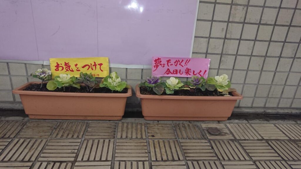 駅員さんの静かな力強いエールの花壇