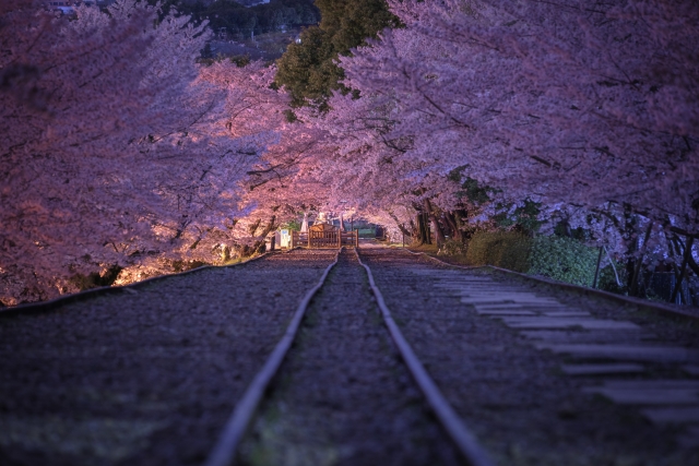 華やかな始まりの４月もおしまい