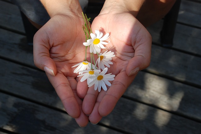 優しさへのお返しに小さな花