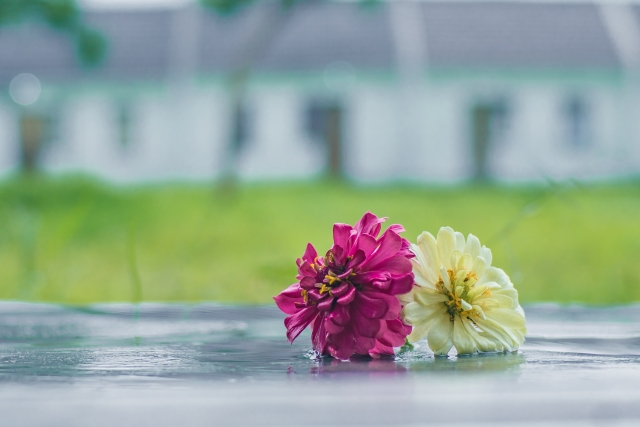 切ない別れの雨の日