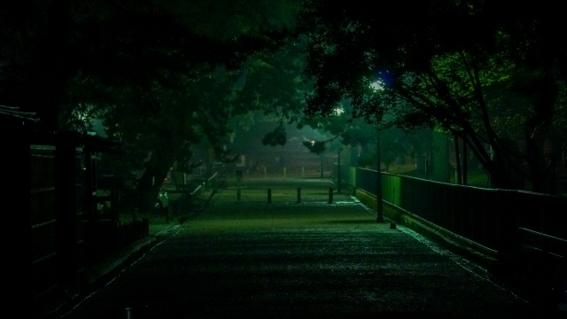 夜の奈良公園