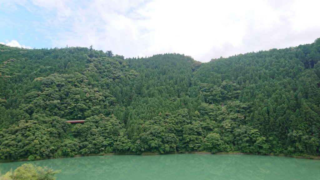 静けさに包まれる十津川の森林風景