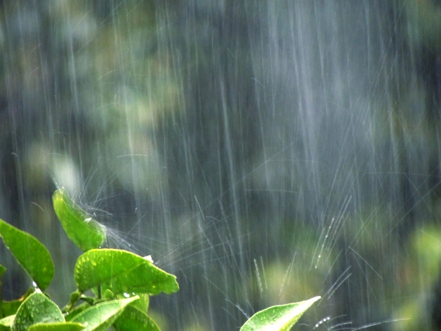 今日は突然の雨も楽しめる気分