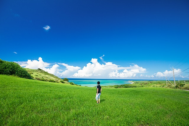 突き抜ける青と緑の夏の島の風景
