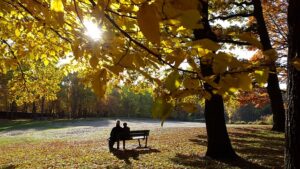 穏やかな秋の公園のベンチにかけるカップル