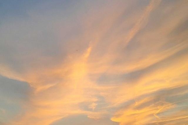 ふたりの頭上には同じ空