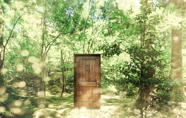 春の森にある希望の扉