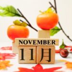 11月イメージの柿