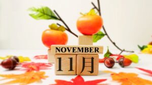 11月イメージの柿